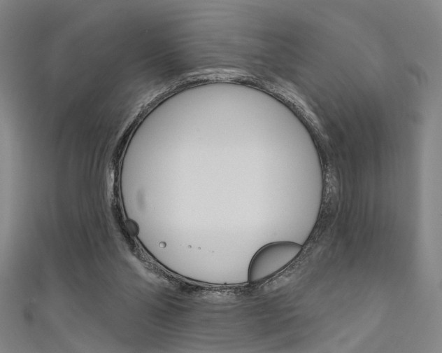X0000111480110200907141051