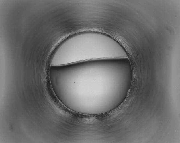 X0000111480112200907141051
