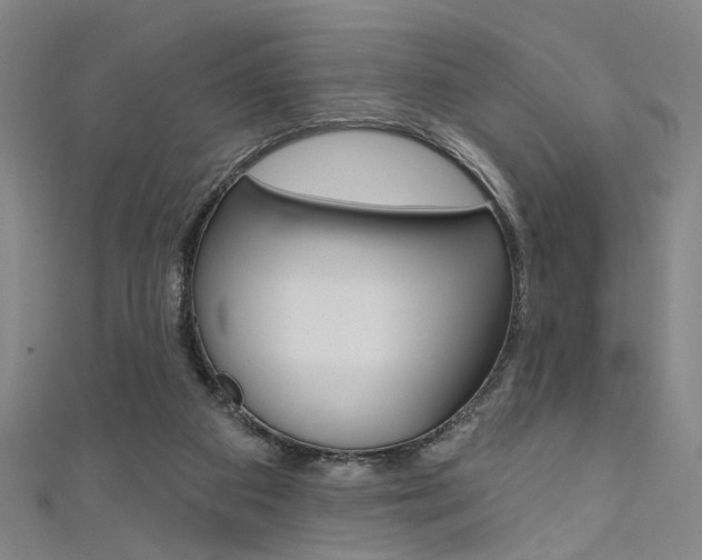 X0000111480113200907141051