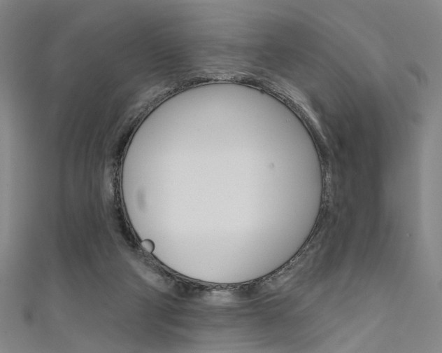 X0000111480114200907141051