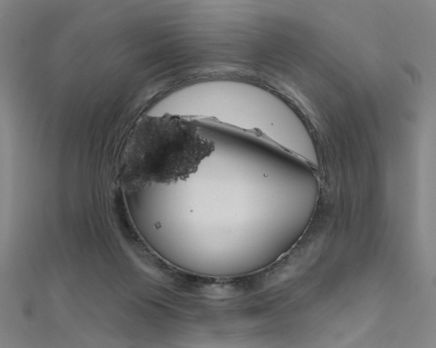 X0000111480119200907141051