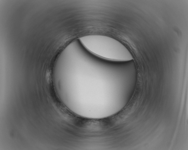 X0000111480123200907141051