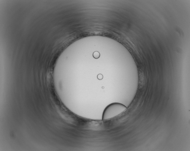 X0000111480126200907141051