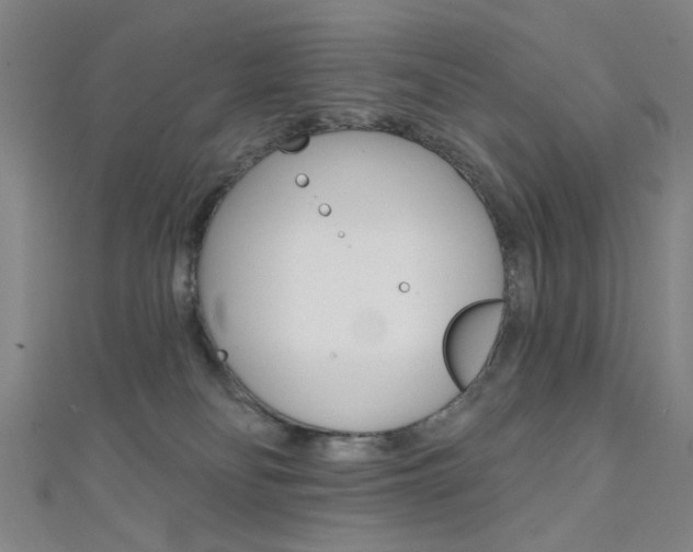 X0000111480134200907141051