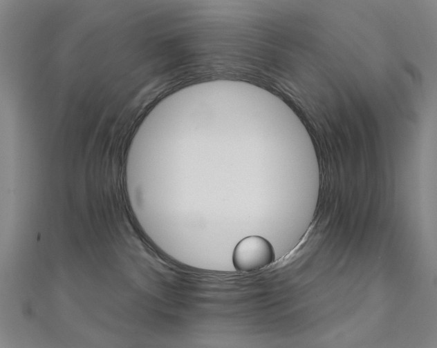 X0000111480140200907141051