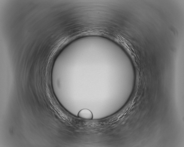 X0000111480145200907141050