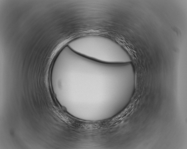 X0000111480147200907141050