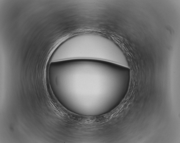 X0000111480148200907141050