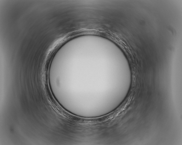 X0000111480149200907141050
