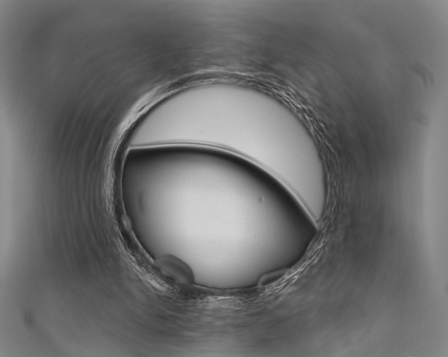 X0000111480150200907141050