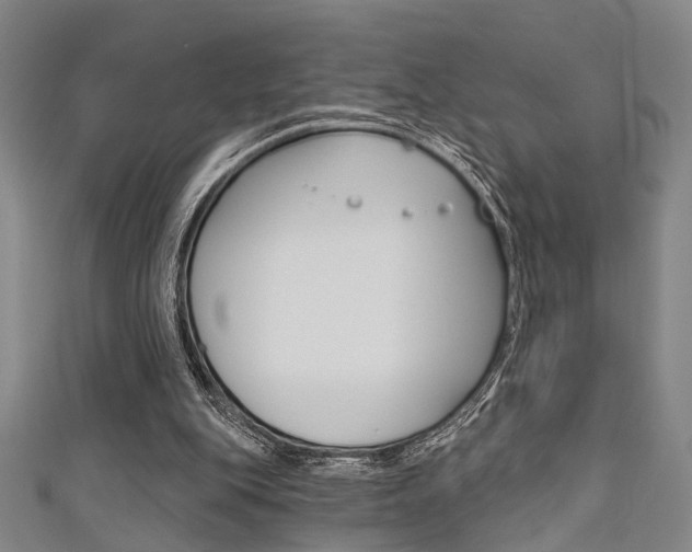 X0000111480151200907141050