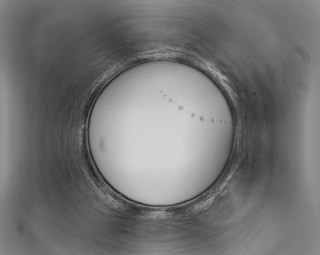 X0000111480153200907141050