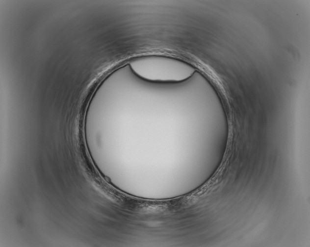X0000111480155200907141050