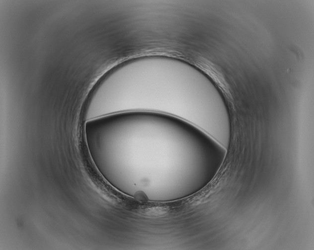 X0000111480156200907141050