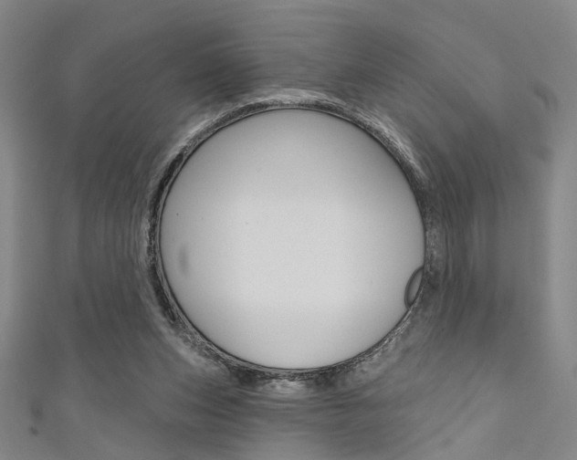 X0000111480159200907141050