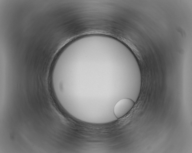 X0000111480160200907141050