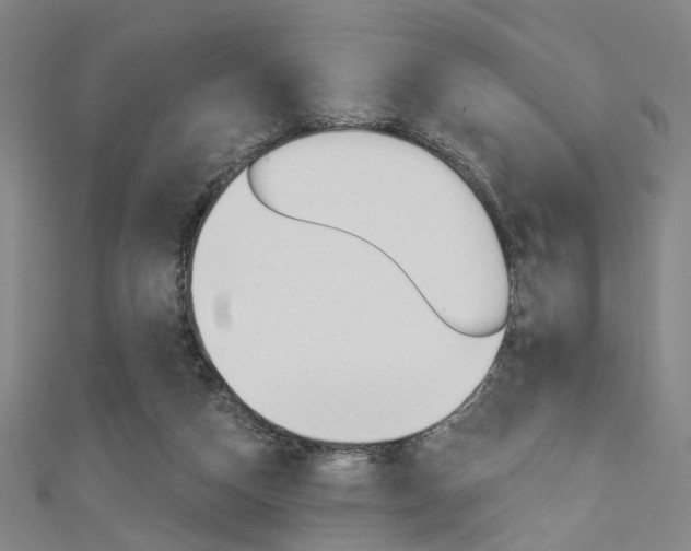X0000111480162200907141050