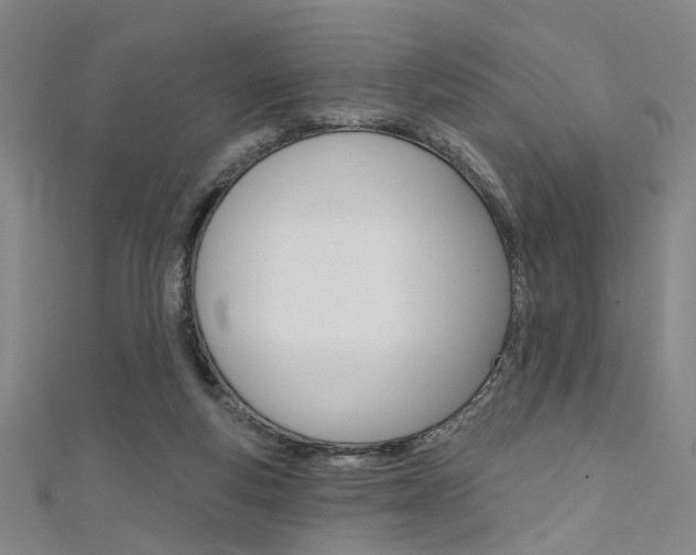 X0000111480163200907141050