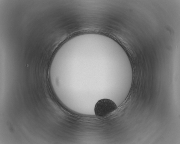 X0000111480168200907141050