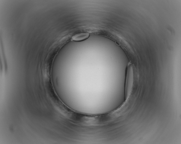 X0000111480170200907141050
