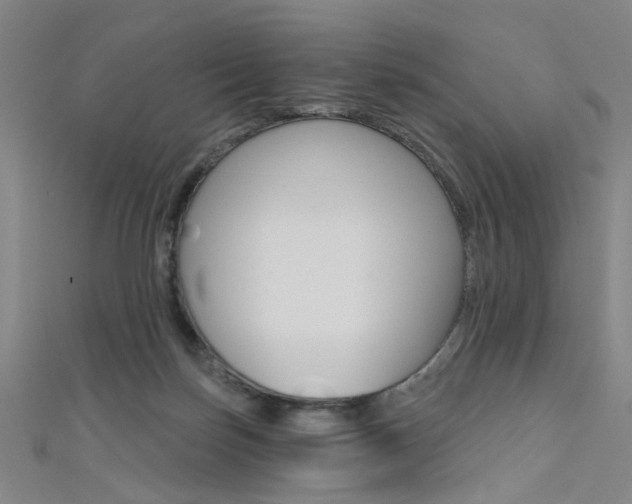 X0000111480171200907141050