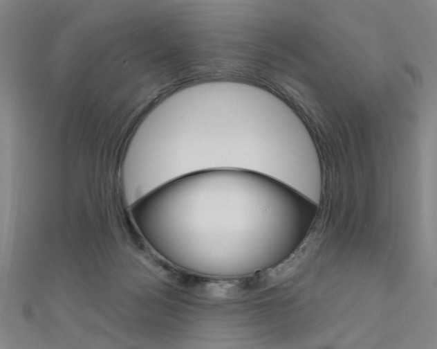 X0000111480172200907141050