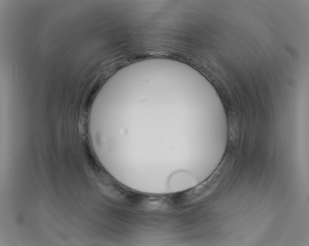 X0000111480175200907141050