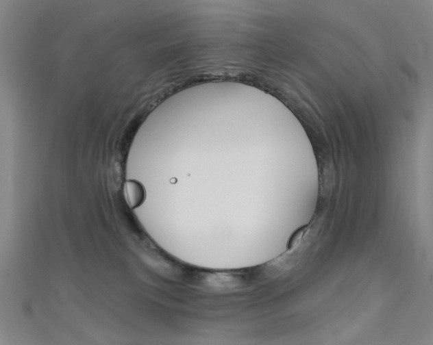 X0000111480183200907141050