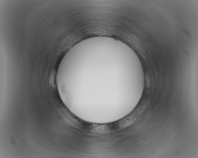 X0000111480185200907141050