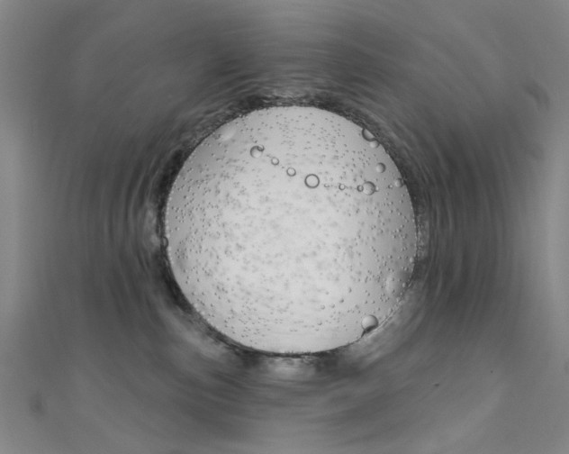 X0000111480187200907141050