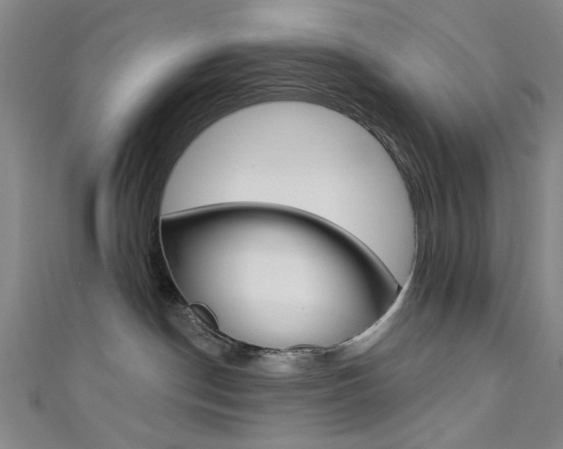 X0000111480190200907141050