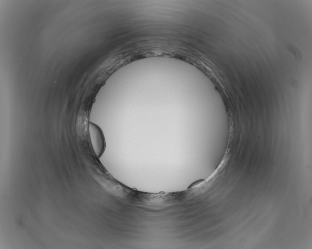 X0000111480191200907141050