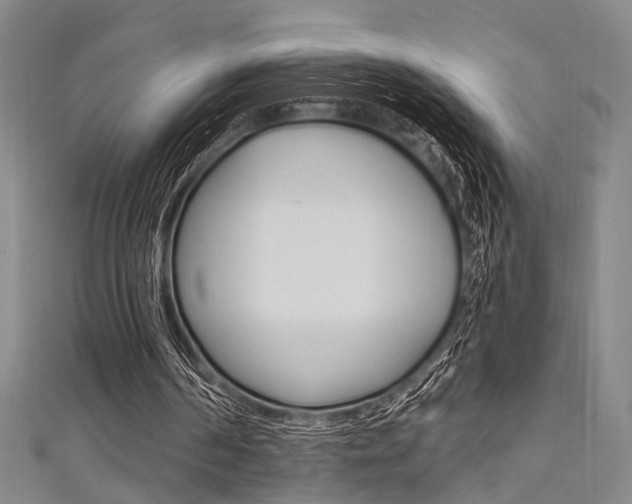 X0000111480194200907141050