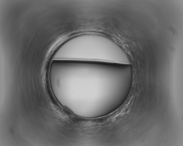 X0000111480197200907141050