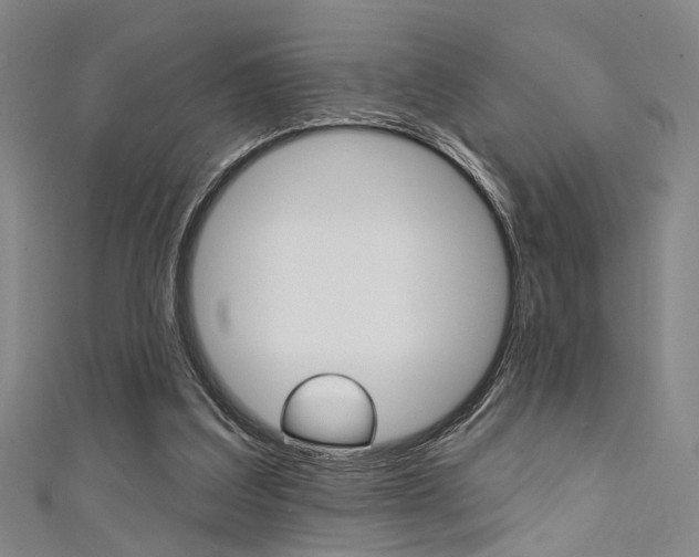 X0000111480203200907141050
