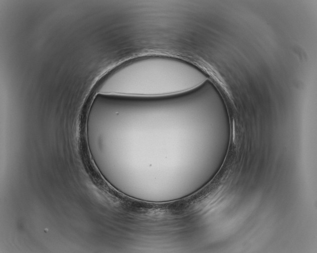 X0000111480204200907141050