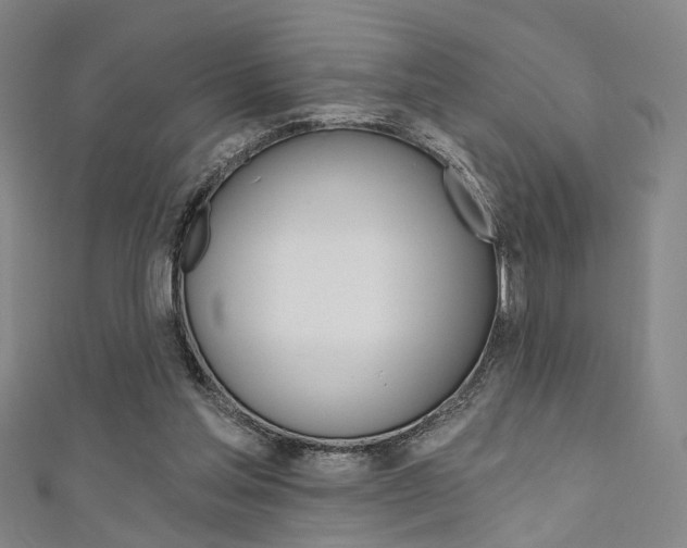 X0000111480205200907141050
