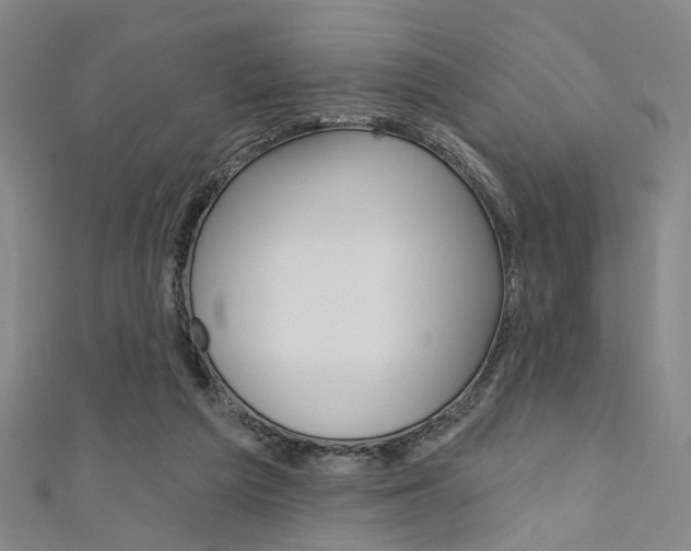 X0000111480209200907141050