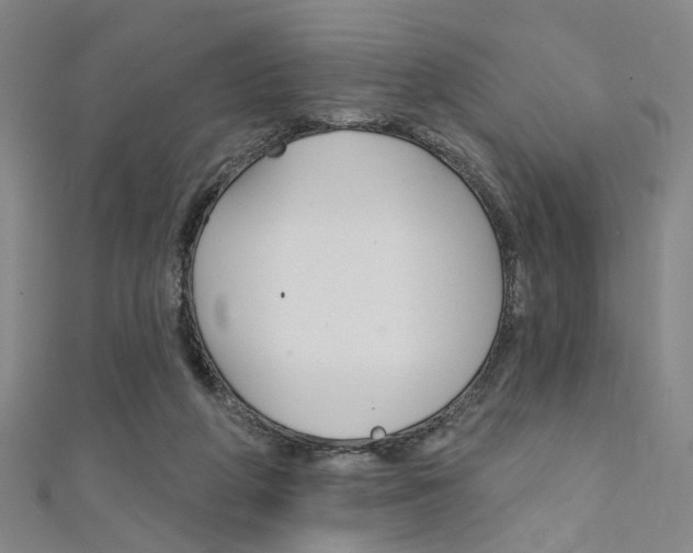 X0000111480210200907141050