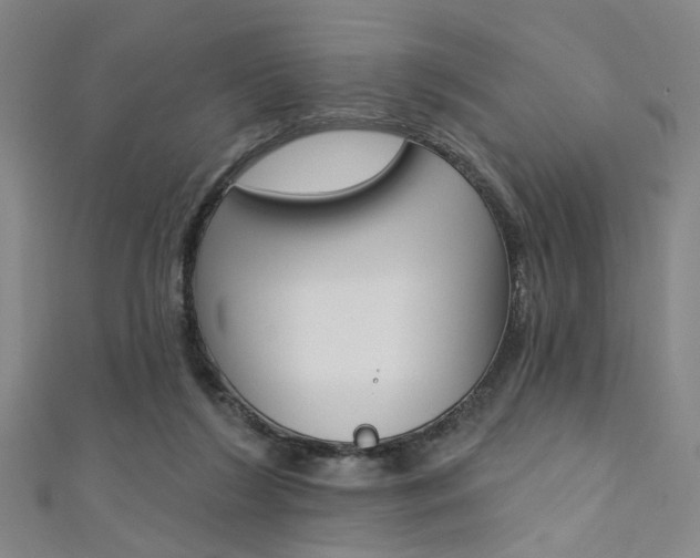 X0000111480212200907141049