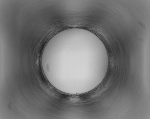 X0000111480214200907141049