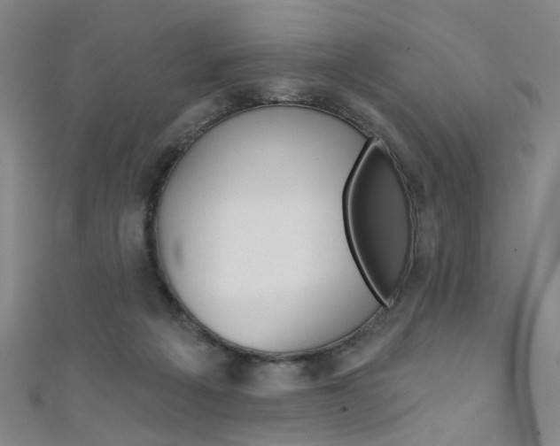 X0000111480217200907141049
