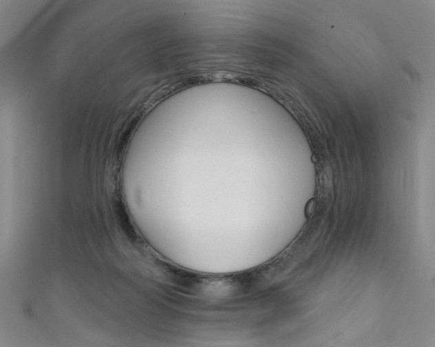 X0000111480218200907141049