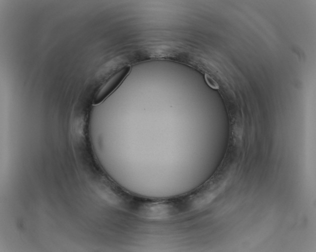 X0000111480219200907141049