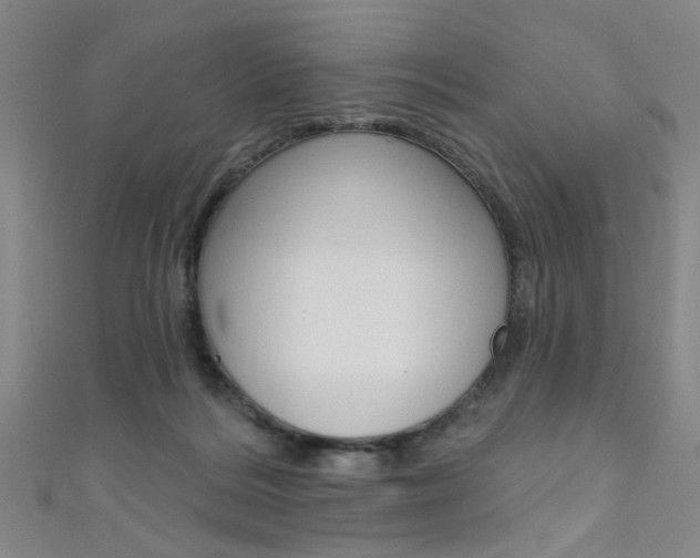 X0000111480220200907141049