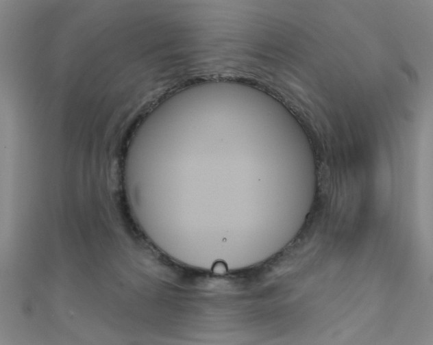X0000111480224200907141049