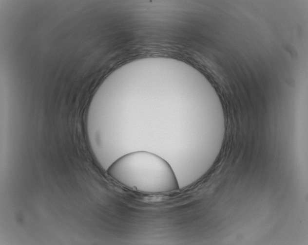 X0000111480225200907141049