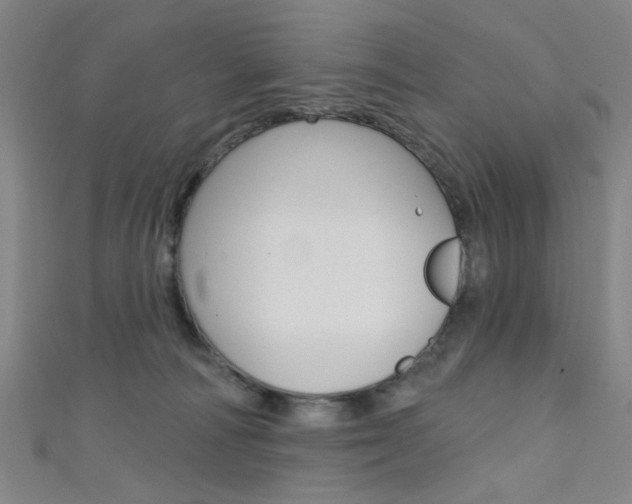 X0000111480226200907141049