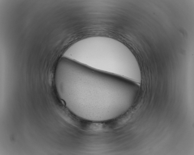 X0000111480227200907141049