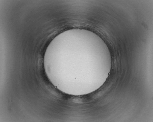 X0000111480228200907141049